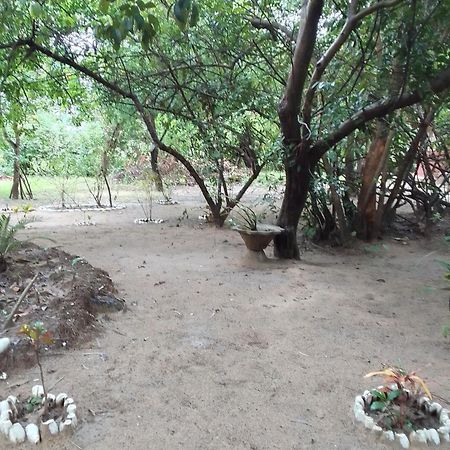 Little Baobab Bed and Breakfast Abémé Esterno foto