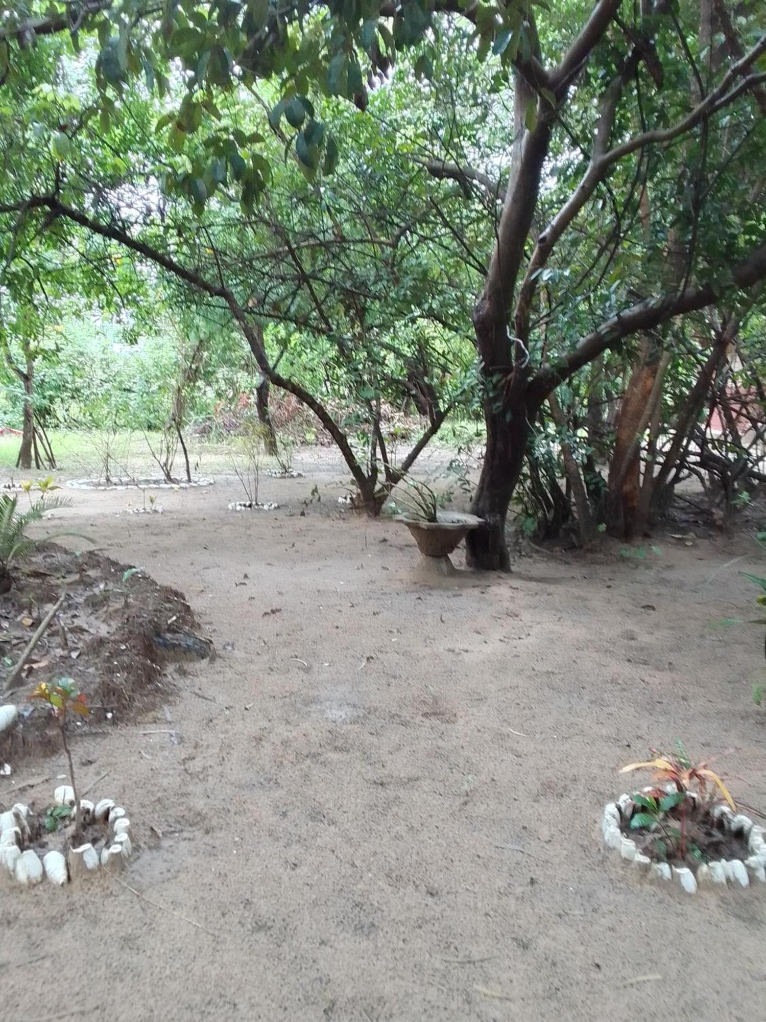 Little Baobab Bed and Breakfast Abémé Esterno foto