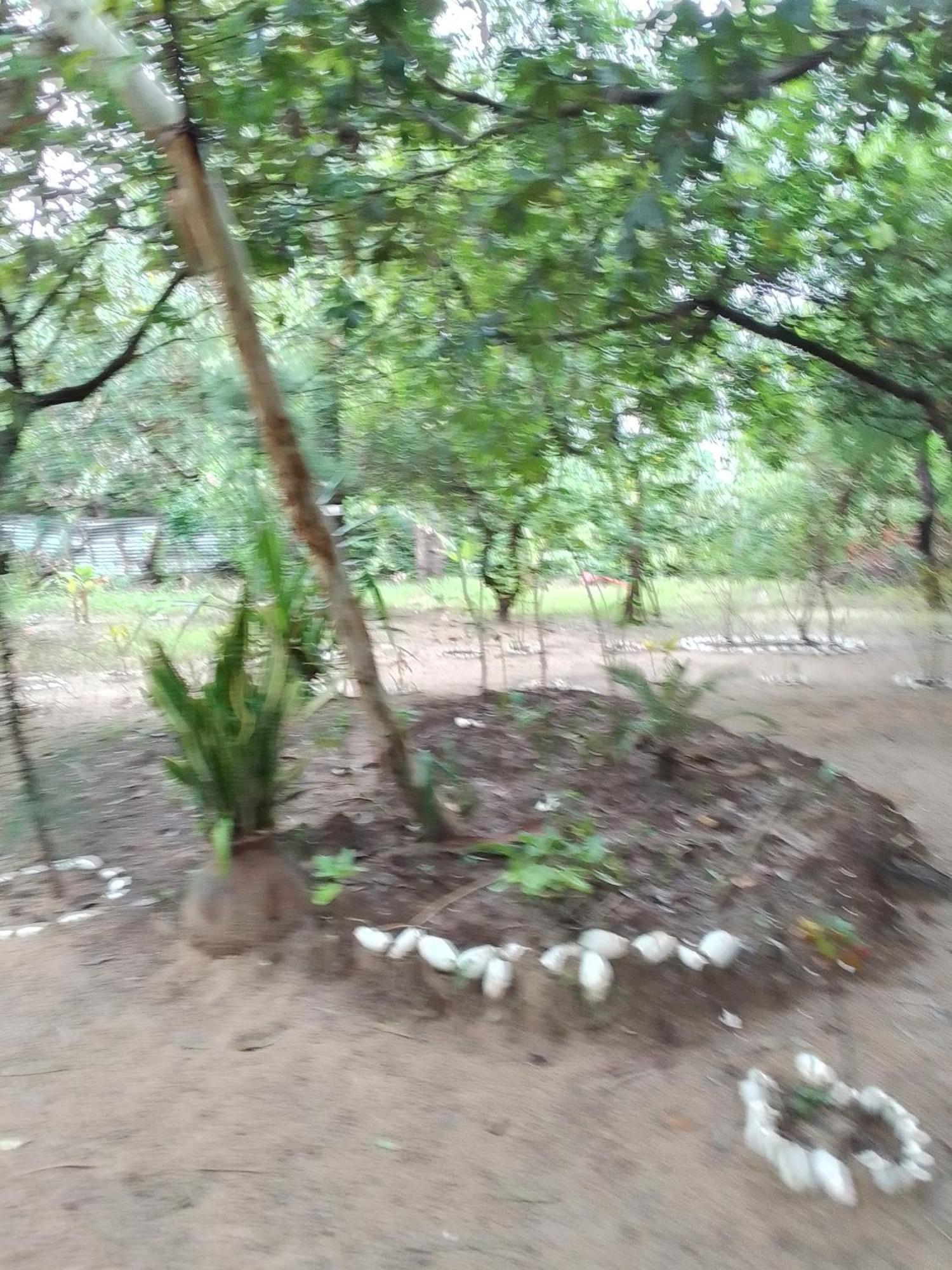 Little Baobab Bed and Breakfast Abémé Esterno foto